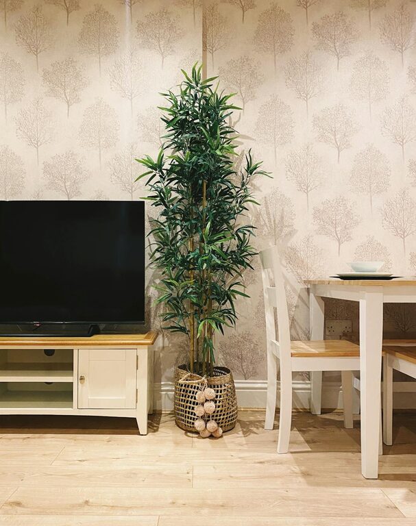 Affordable Ways to Create a Cozy and Inviting Living Space